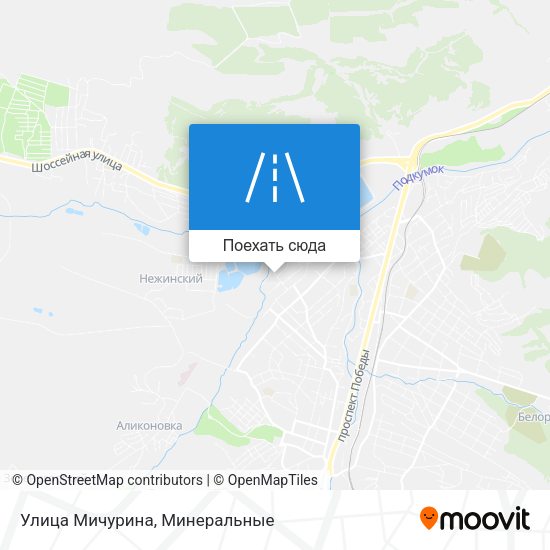Карта Улица Мичурина