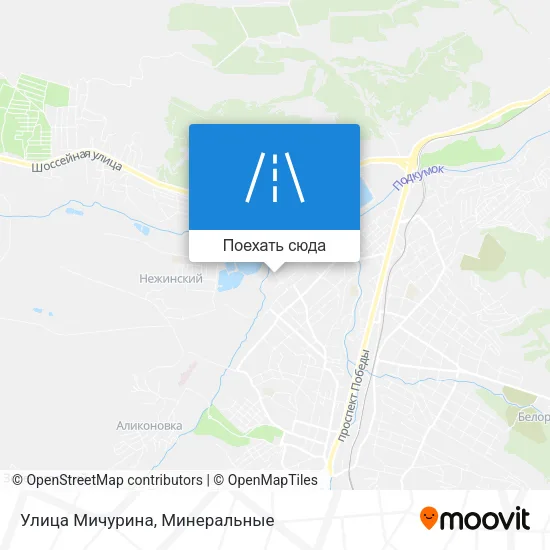 Карта Улица Мичурина