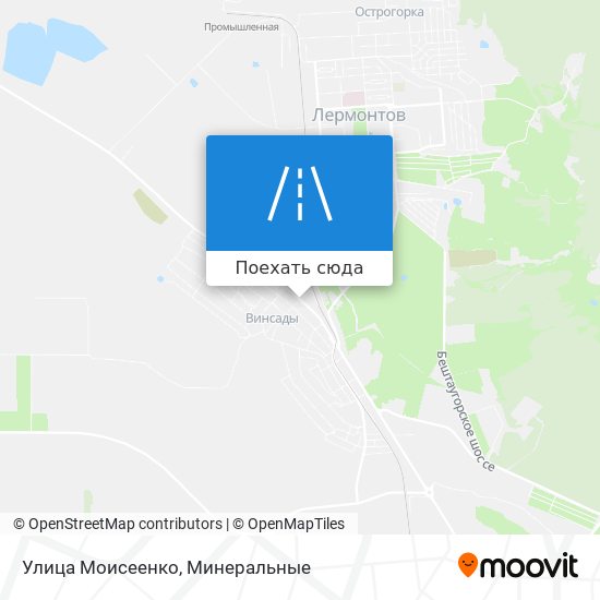 Карта Улица Моисеенко
