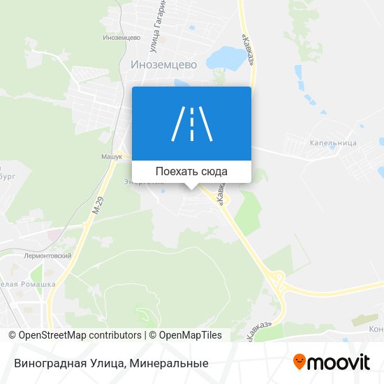 Карта Виноградная Улица