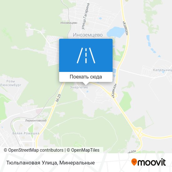 Карта Тюльпановая Улица