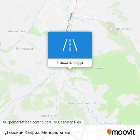 Карта Дамский Каприз