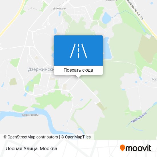 Карта Лесная Улица