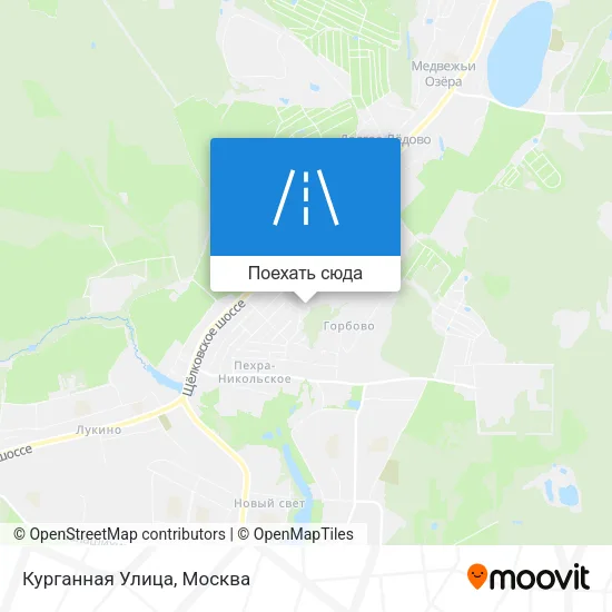 Карта Курганная Улица