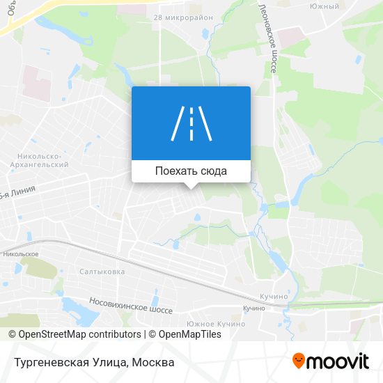 Карта Тургеневская Улица