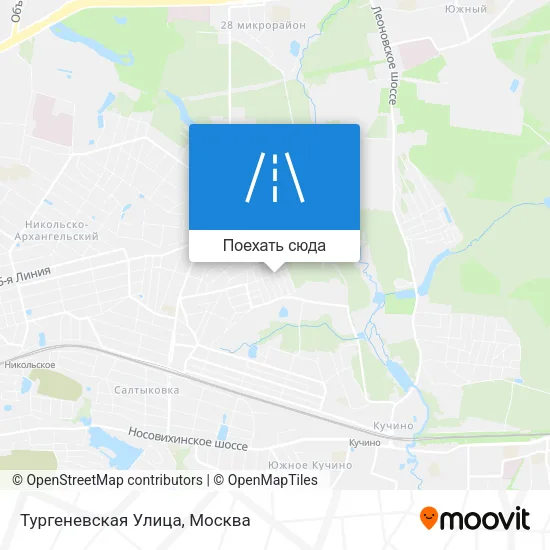 Карта Тургеневская Улица