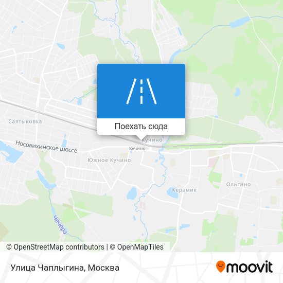 Карта Улица Чаплыгина