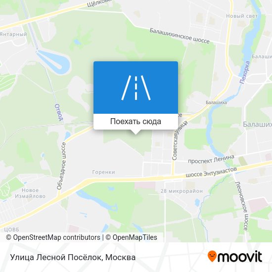 Карта Улица Лесной Посёлок