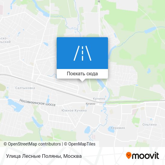 Карта Улица Лесные Поляны