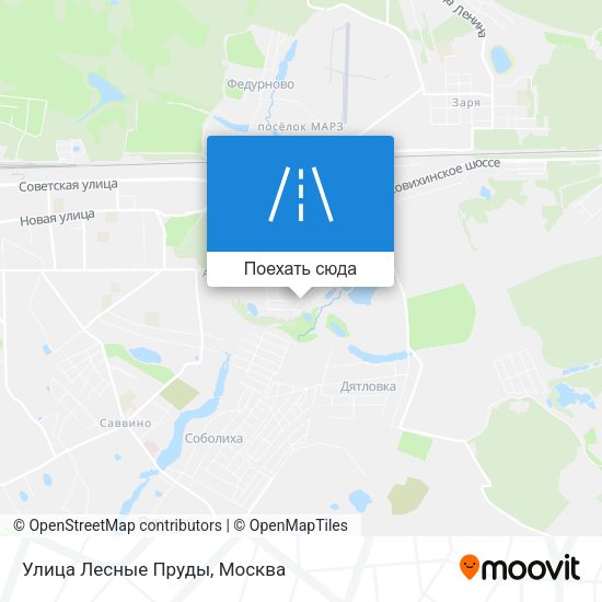 Карта Улица Лесные Пруды