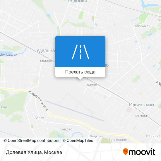 Карта Долевая Улица