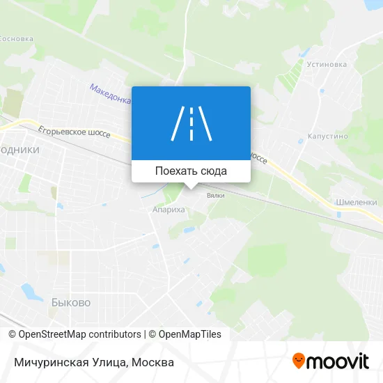 Карта Мичуринская Улица