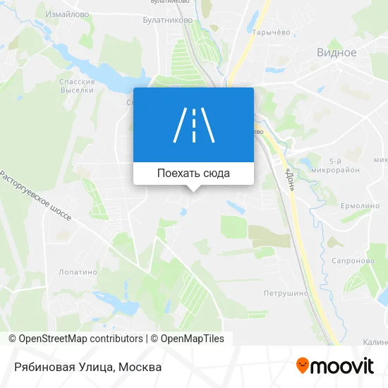 Карта Рябиновая Улица