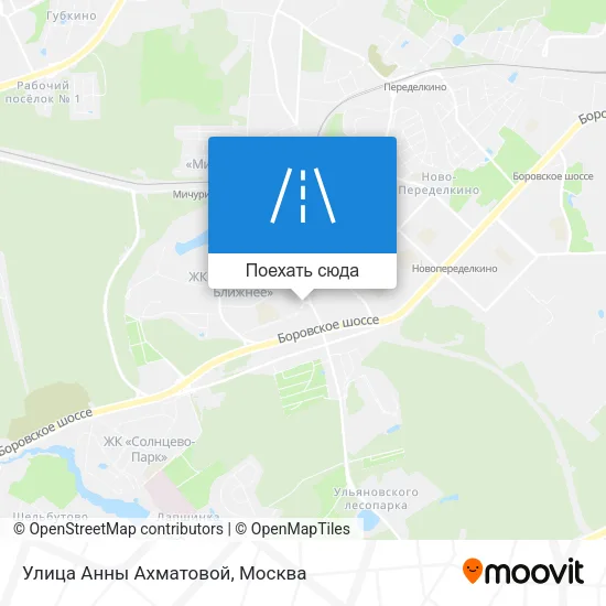 Карта Улица Анны Ахматовой