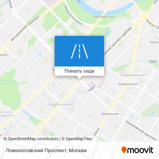 Карта Ломоносовский Проспект