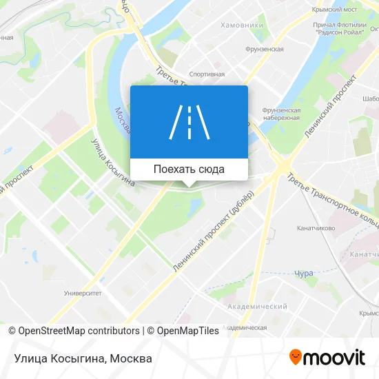 Карта Улица Косыгина