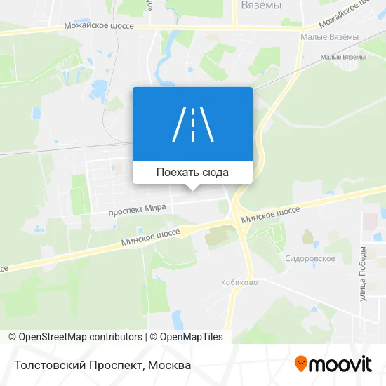 Карта Толстовский Проспект