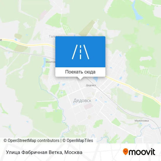 Карта Улица Фабричная Ветка