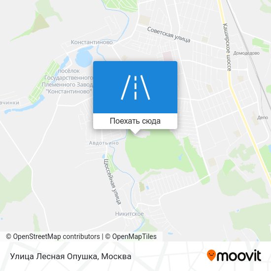 Карта Улица Лесная Опушка