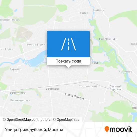 Карта Улица Гризодубовой