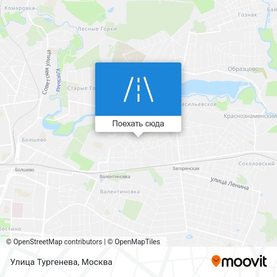 Карта Улица Тургенева
