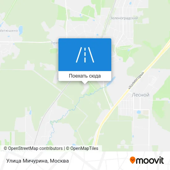 Карта Улица Мичурина