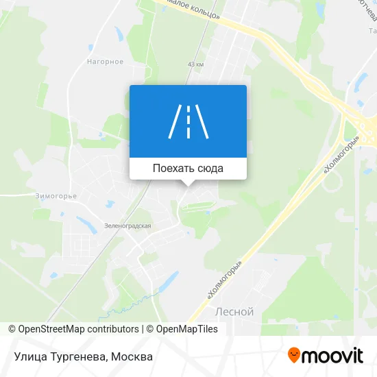 Карта Улица Тургенева