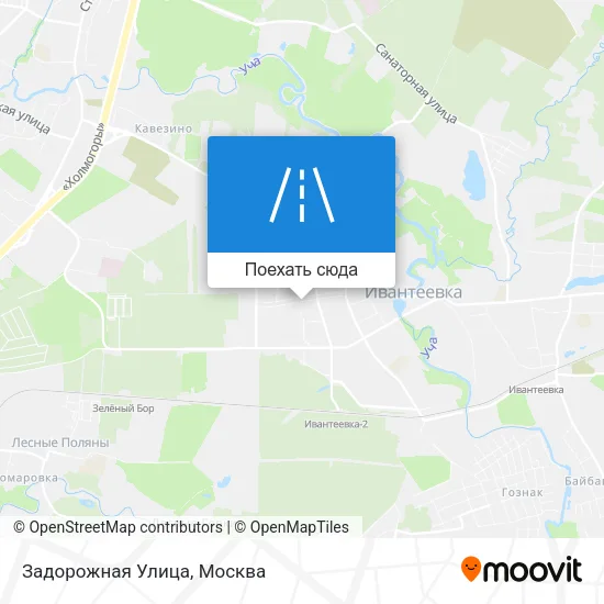 Карта Задорожная Улица