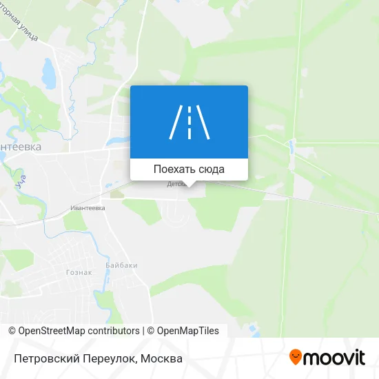 Карта Петровский Переулок