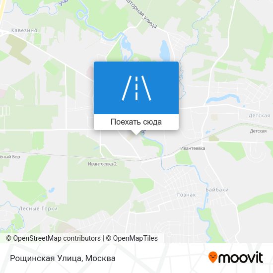 Карта Рощинская Улица