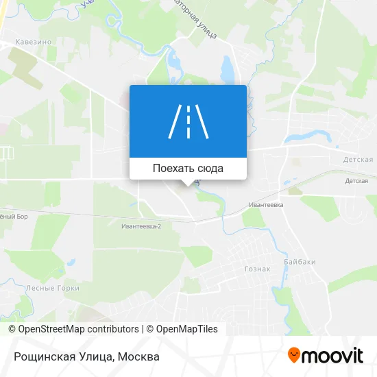 Карта Рощинская Улица