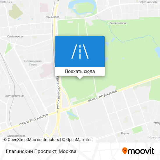 Карта Елагинский Проспект