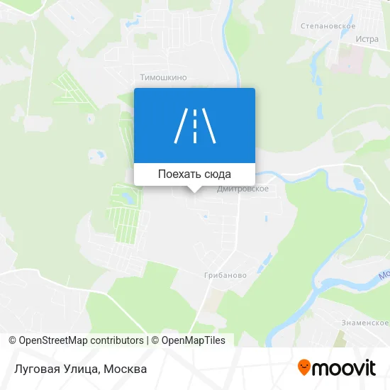 Карта Луговая Улица