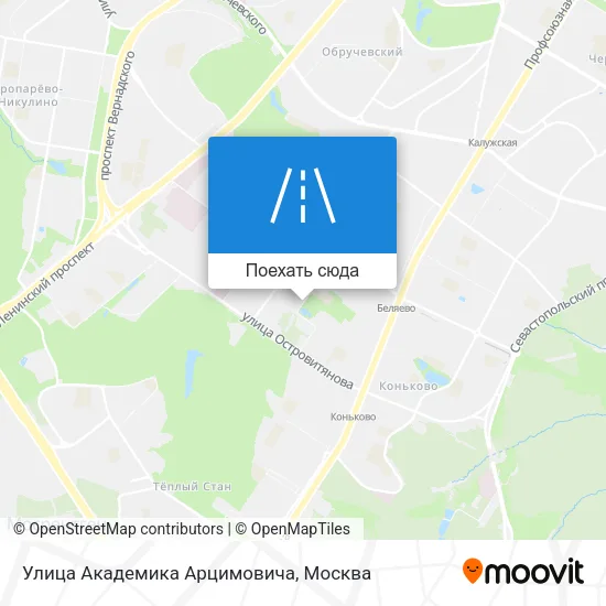 Карта Улица Академика Арцимовича
