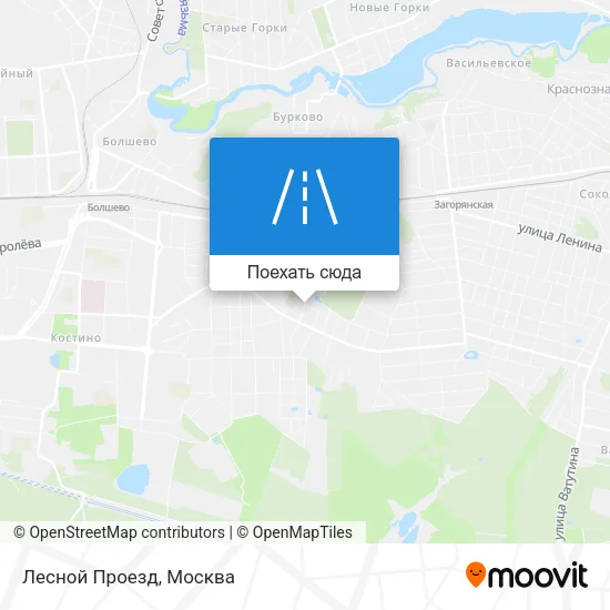 Карта Лесной Проезд