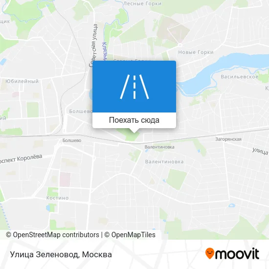 Карта Улица Зеленовод