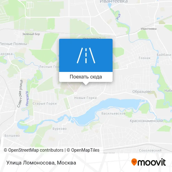 Карта Улица Ломоносова