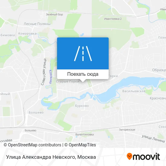 Карта Улица Александра Невского