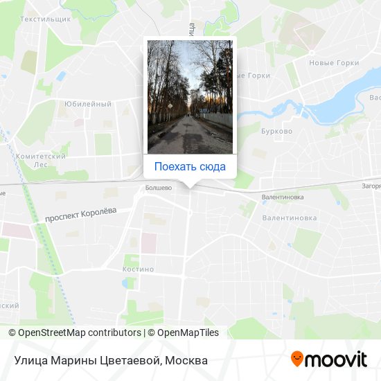 Карта Улица Марины Цветаевой