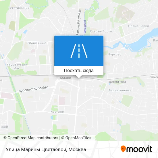 Карта Улица Марины Цветаевой
