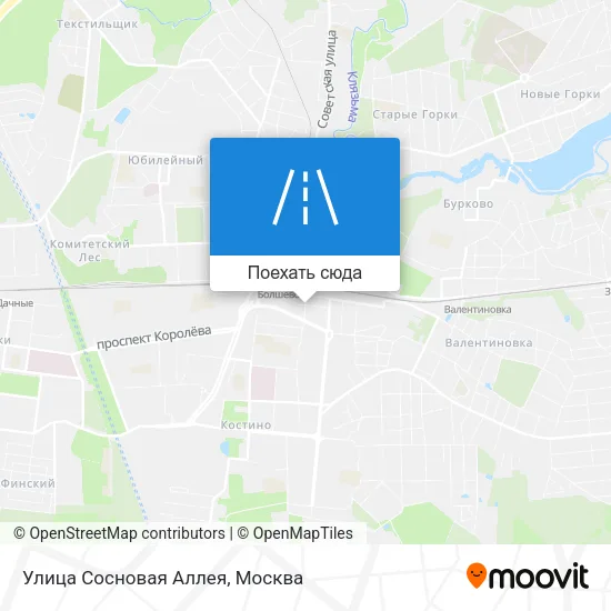 Карта Улица Сосновая Аллея
