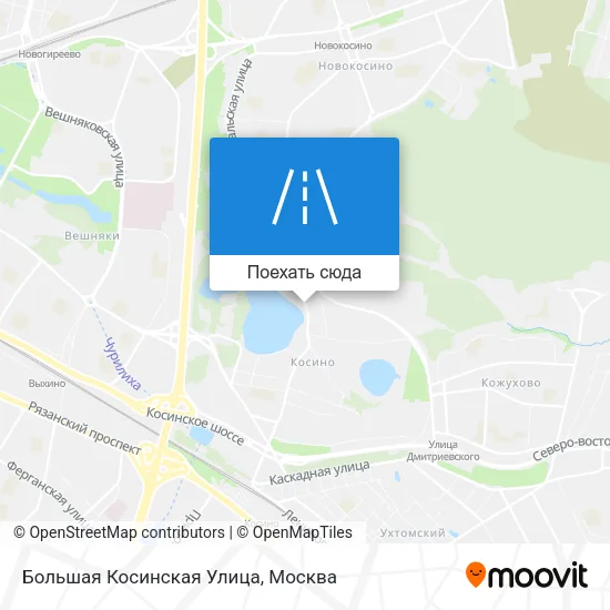 Карта Большая Косинская Улица