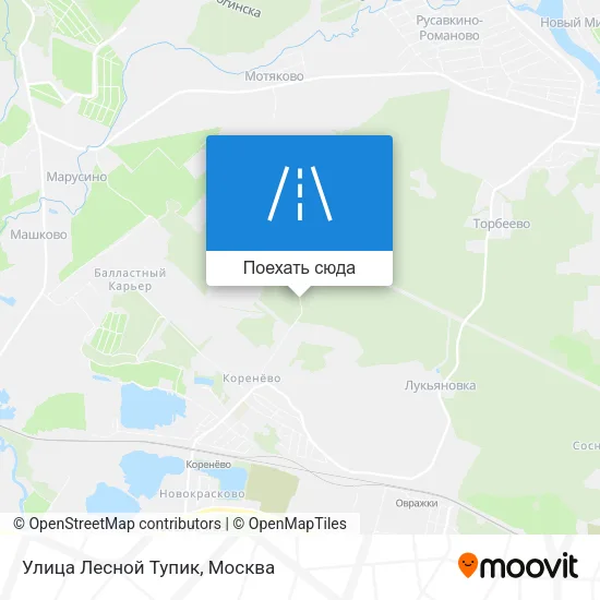 Карта Улица Лесной Тупик