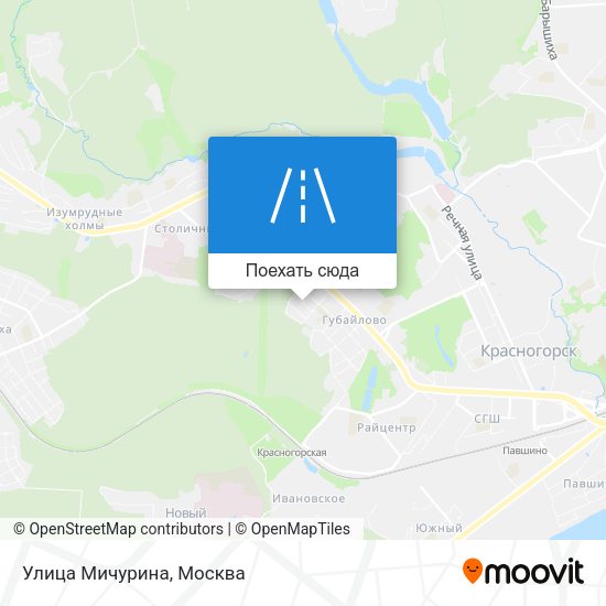 Карта Улица Мичурина