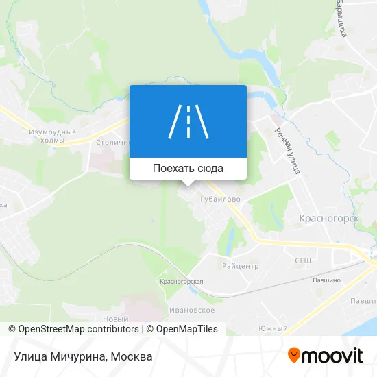 Карта Улица Мичурина