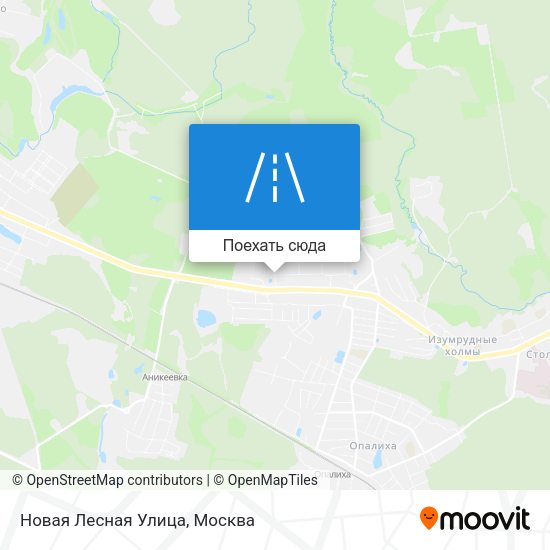 Карта Новая Лесная Улица