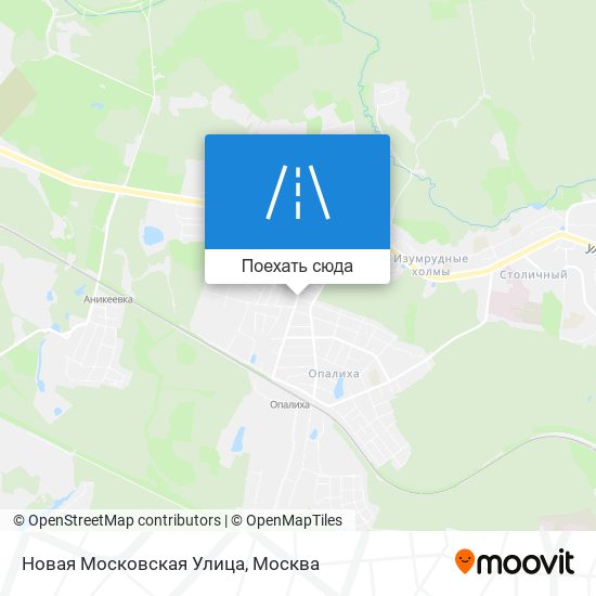 Карта Новая Московская Улица