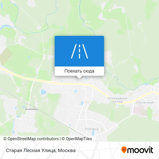 Карта Старая Лесная Улица