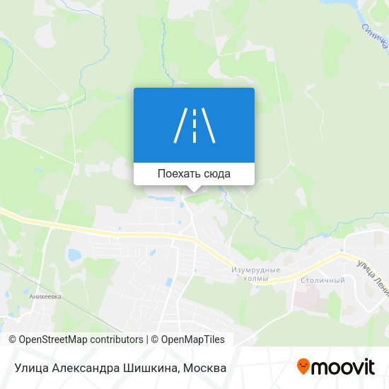 Карта Улица Александра Шишкина