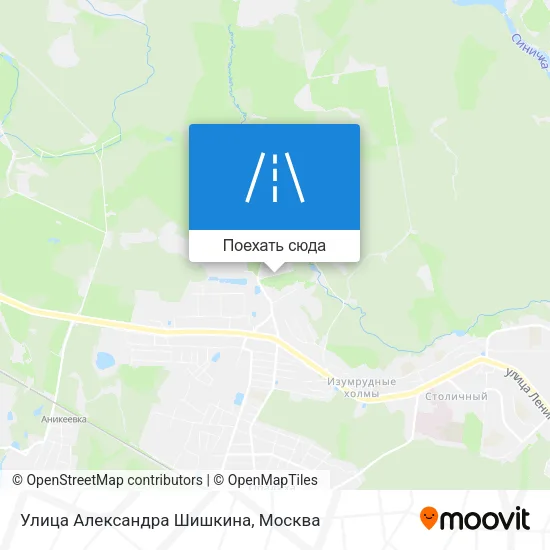 Карта Улица Александра Шишкина